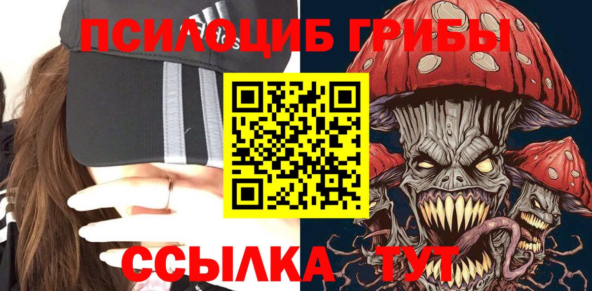 Галлюциногенные грибы Psilocybe Можга