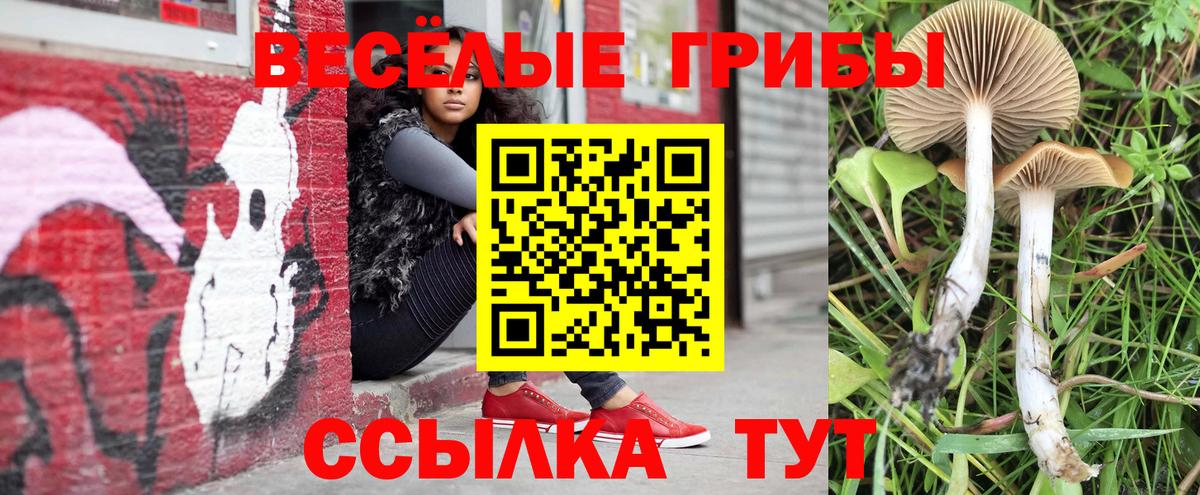 Можга  Псилоцибиновые грибы Psilocybe  даркнет сайт  Вход с VPN 